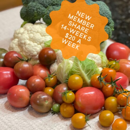 14-Week New Member $20 A Week Membership Share