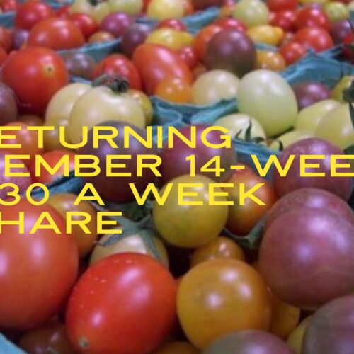 14-Week Returning Member $30 A Week Membership Share