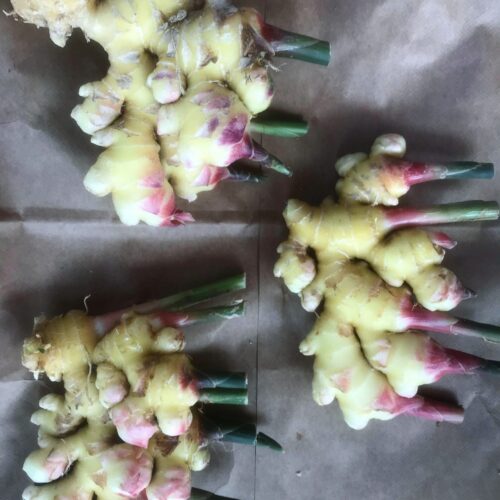 Ginger Root Organic 1/4 lb