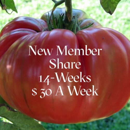 14-Week New Member $30 a Week Membership Share