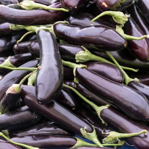 Eggplant - Asian Organic - 1 Pound