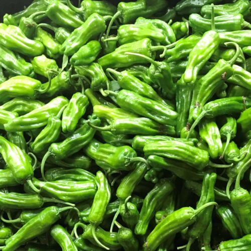 Peppers - Shishito Organic - 1 Pint