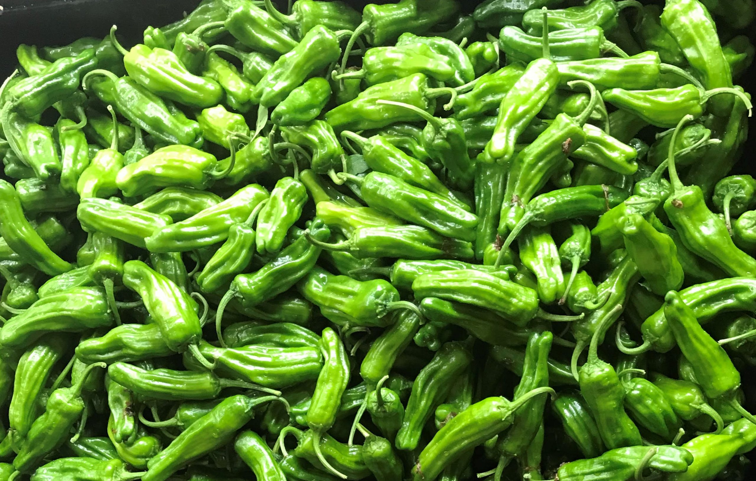 Peppers - Shishito Organic - 1 Pint