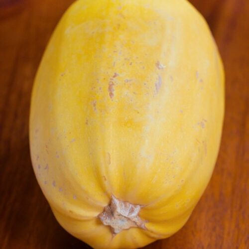 Squash - Spaghetti Organic - Approximately 1 1/2 Pound