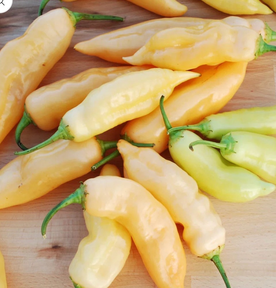 Peppers - Sugar Rush Peach (Sweet Hot) - 3 Peppers