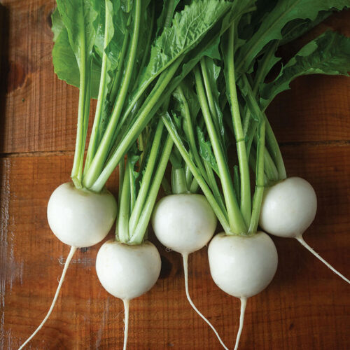 Turnips - Hakurei Organic - 1 Pound Bunch