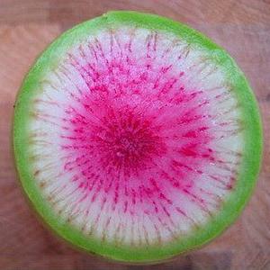 Radish - Watermelon Organic 1 LB