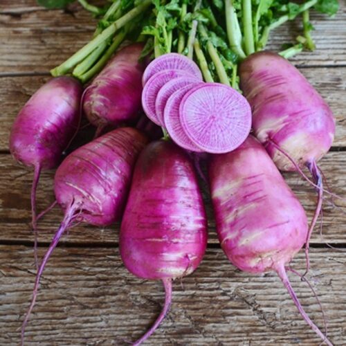 Radish – Daikon Organic (Purple) 1 LB