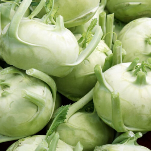 Kohlrabi - Green Organic